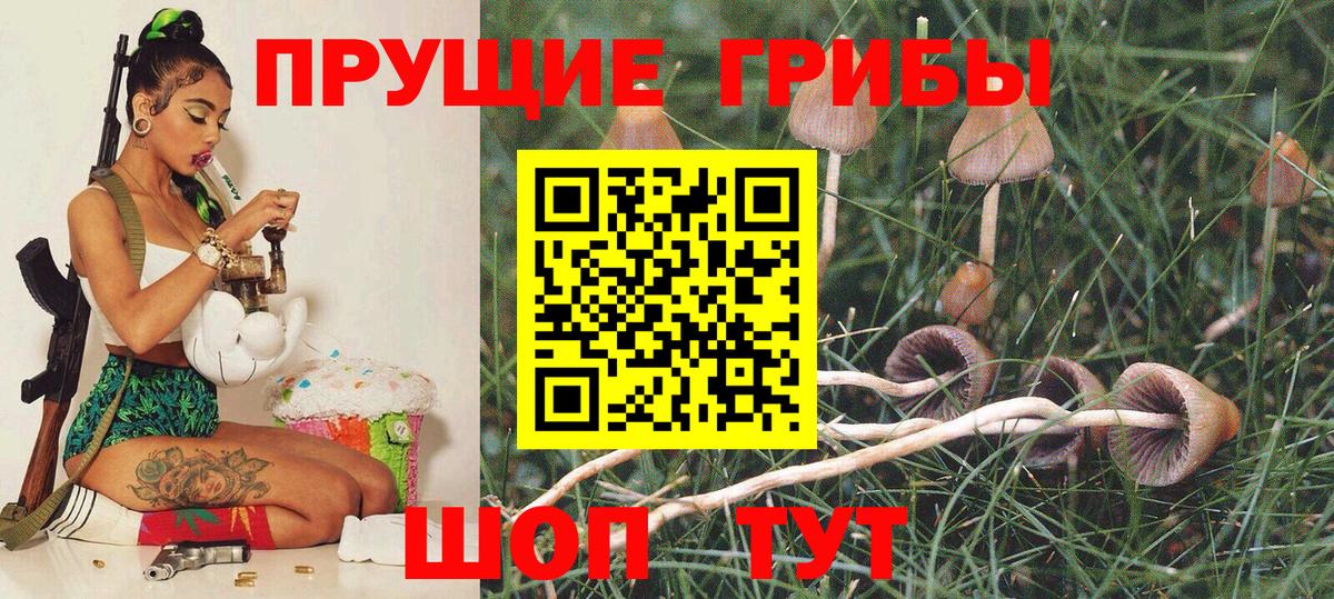 Псилоцибиновые грибы MAGIC MUSHROOMS Нягань